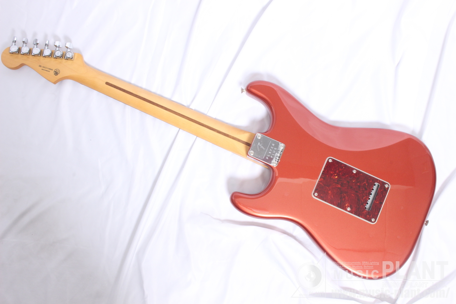 Player Plus Stratocaster, Pau Ferro Fingerboard, Aged Candy Apple Red背面画像