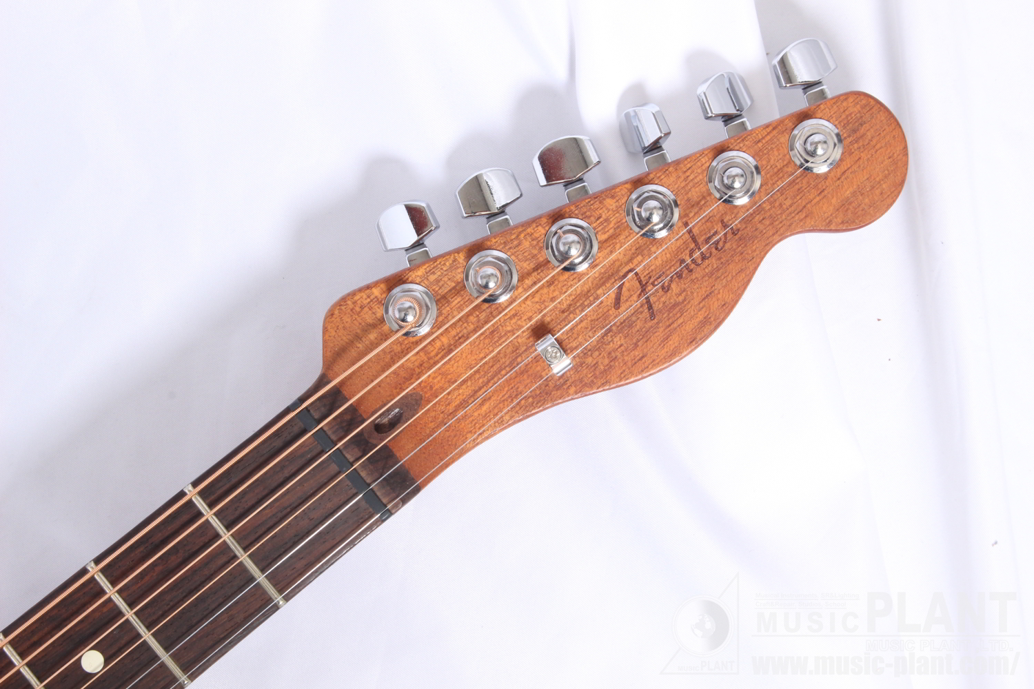 Acoustasonic Player Telecaster, Rosewood Fingerboard, Brushed Blackヘッド画像 Acoustasonic Player Telecaster, Rosewood Fingerboard, Brushed Blackヘッド画像