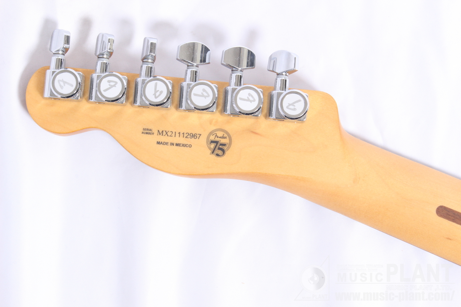 Player Plus Nashville Telecaster, Pau Ferro Fingerboard, Opal Spark追加画像 Player Plus Nashville Telecaster, Pau Ferro Fingerboard, Opal Spark追加画像
