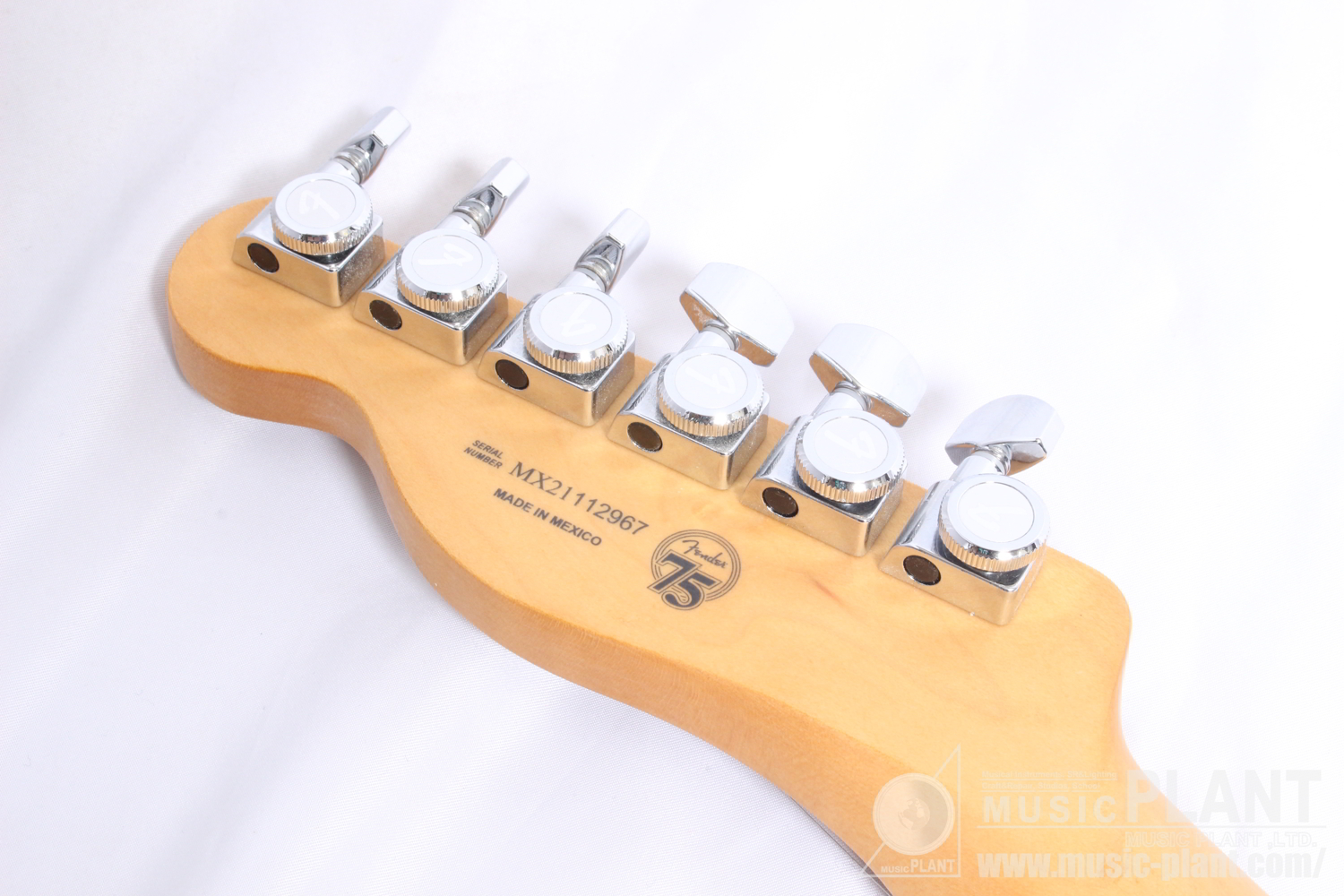 Player Plus Nashville Telecaster, Pau Ferro Fingerboard, Opal Spark追加画像 Player Plus Nashville Telecaster, Pau Ferro Fingerboard, Opal Spark追加画像