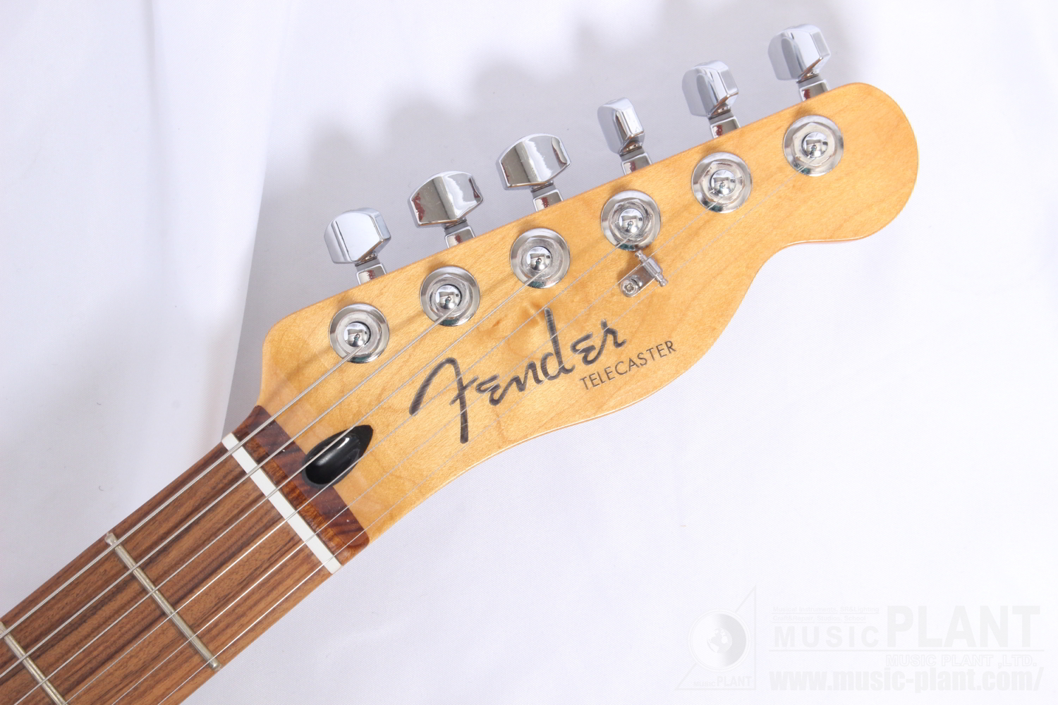 Player Plus Nashville Telecaster, Pau Ferro Fingerboard, Opal Sparkヘッド画像 Player Plus Nashville Telecaster, Pau Ferro Fingerboard, Opal Sparkヘッド画像