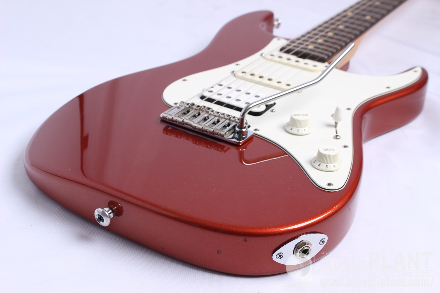 Pro Series Stratocaster Type追加画像