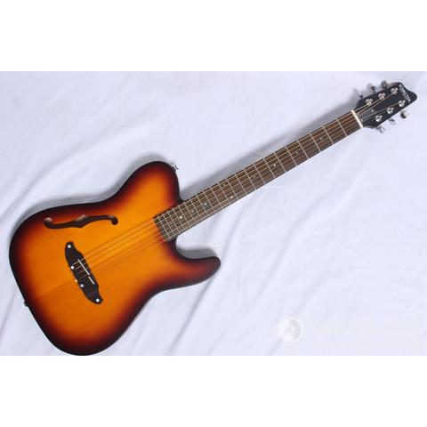 SCHECTER-エレアコOL-FL/TSB