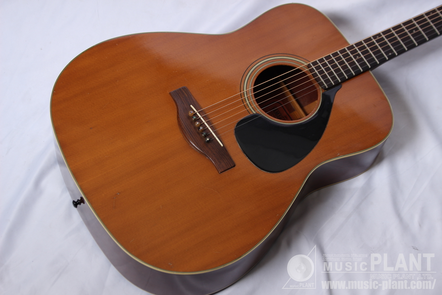 FG-220追加画像 FG-220追加画像