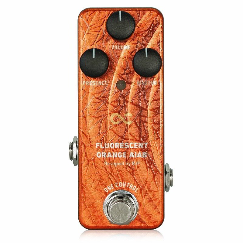 FLUORESCENT ORANGE AIABパネル画像 FLUORESCENT ORANGE AIABパネル画像