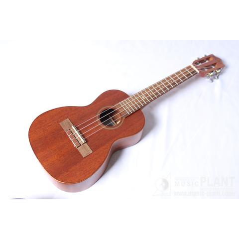 Leho Ukulele

LHUC-ASM