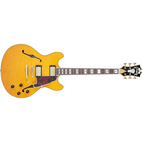D'Angelico-セミアコギターDC Vintage Natural