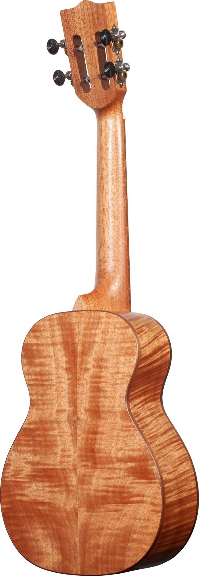 CK-18OM背面画像 CK-18OM背面画像