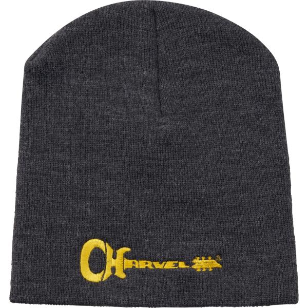 Charvel® Guitar Logo Beanie, Gray and Yellowサムネイル