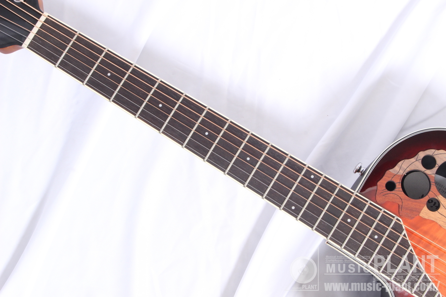CE44LX-1R-G Celebrity Elite Exotic Mid Depth Lefty追加画像 CE44LX-1R-G Celebrity Elite Exotic Mid Depth Lefty追加画像