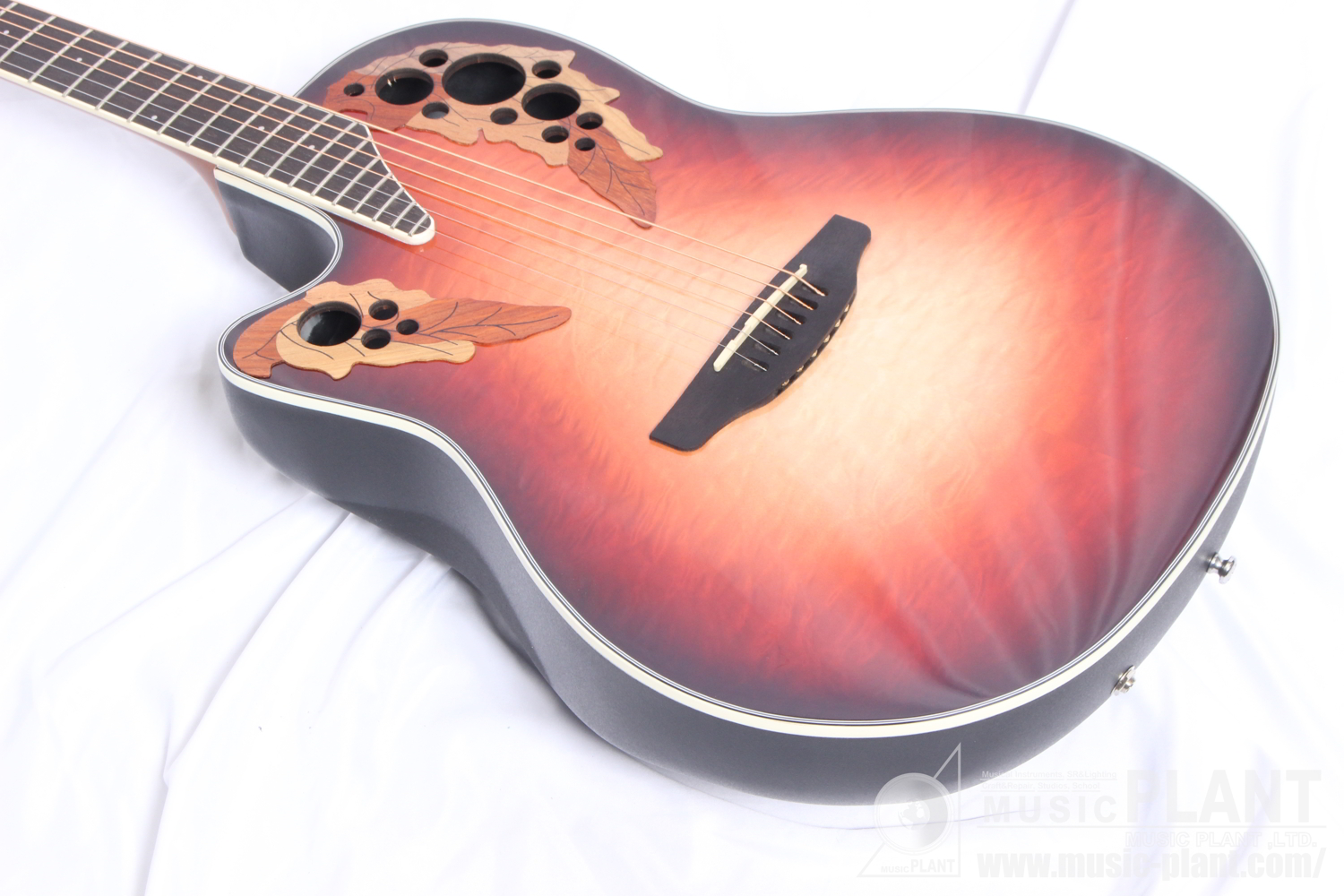CE44LX-1R-G Celebrity Elite Exotic Mid Depth Lefty追加画像 CE44LX-1R-G Celebrity Elite Exotic Mid Depth Lefty追加画像