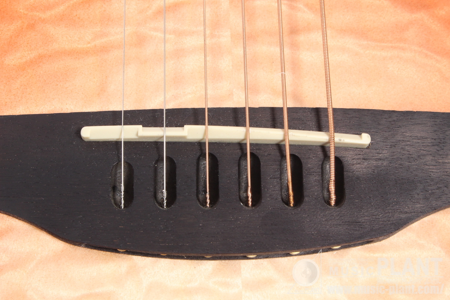 CE44LX-1R-G Celebrity Elite Exotic Mid Depth Lefty追加画像 CE44LX-1R-G Celebrity Elite Exotic Mid Depth Lefty追加画像