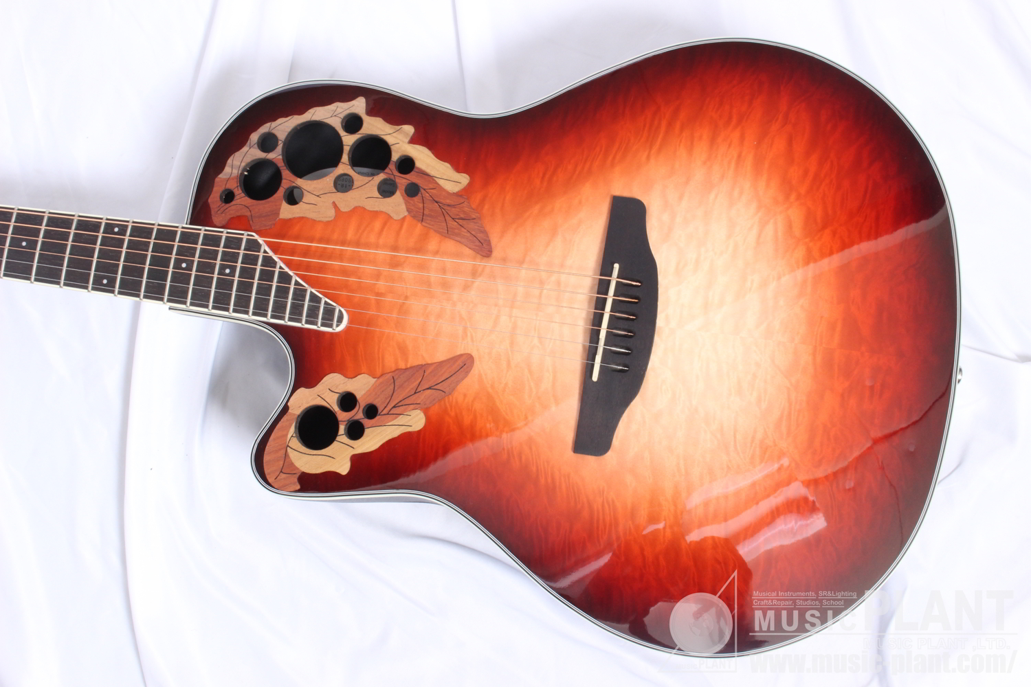 CE44LX-1R-G Celebrity Elite Exotic Mid Depth Lefty追加画像 CE44LX-1R-G Celebrity Elite Exotic Mid Depth Lefty追加画像