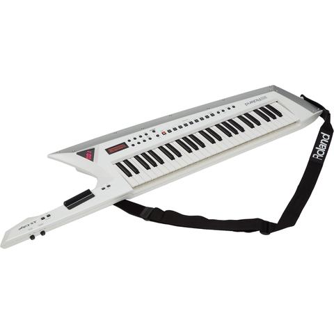 Roland

AX-EDGE-W