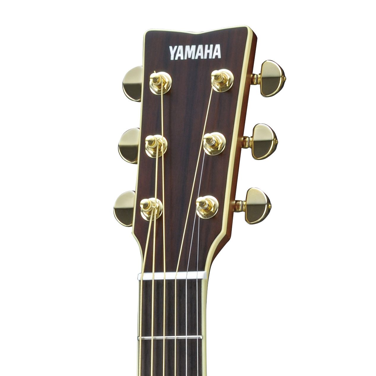 LL6 BS AREヘッド画像 LL6 BS AREヘッド画像
