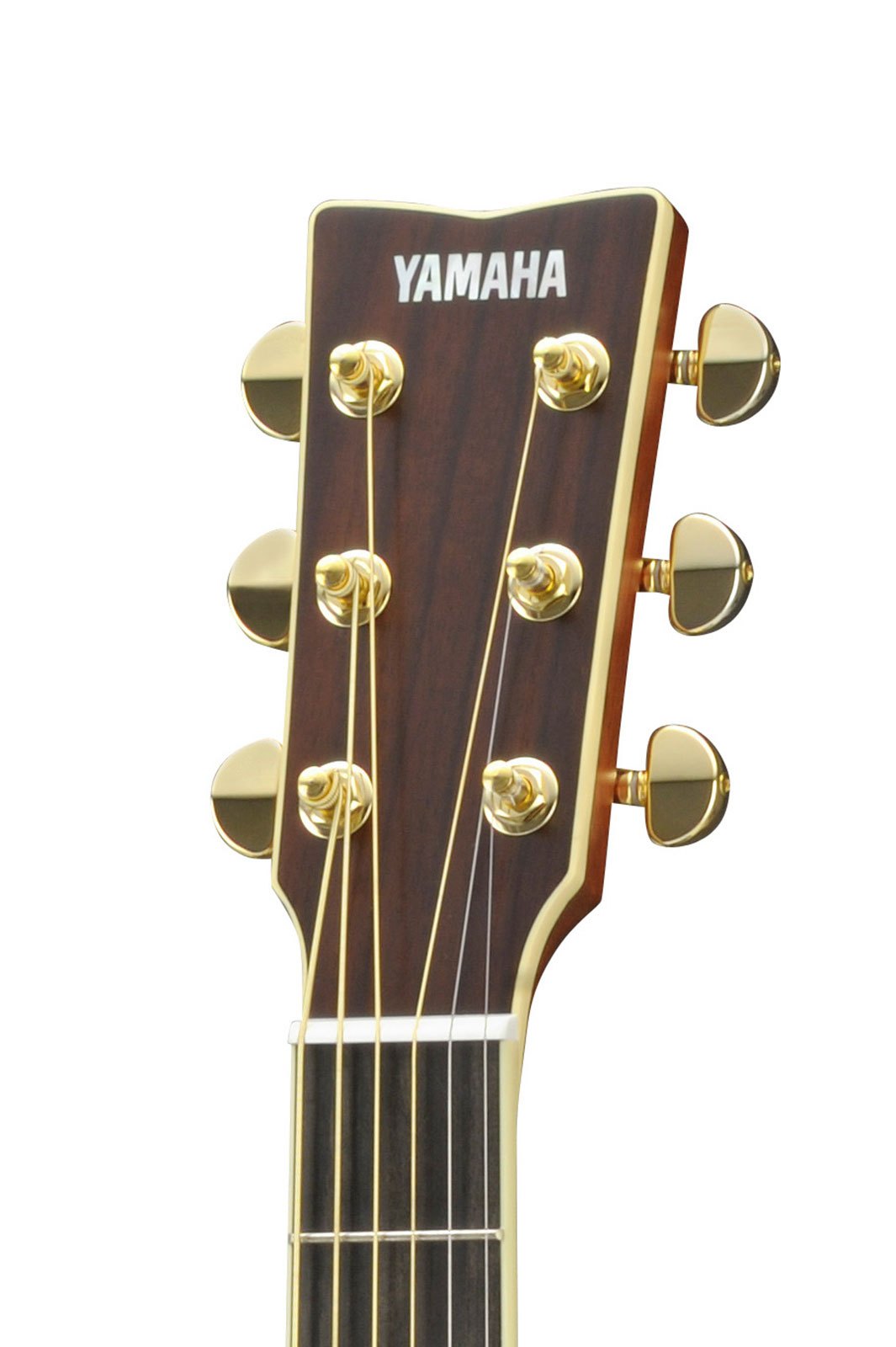 LJ16 BS AREヘッド画像 LJ16 BS AREヘッド画像