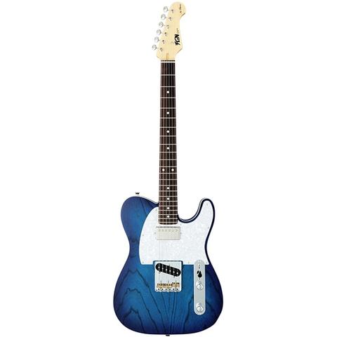 FgN-エレキギターNTE21RAH-SBB/01
