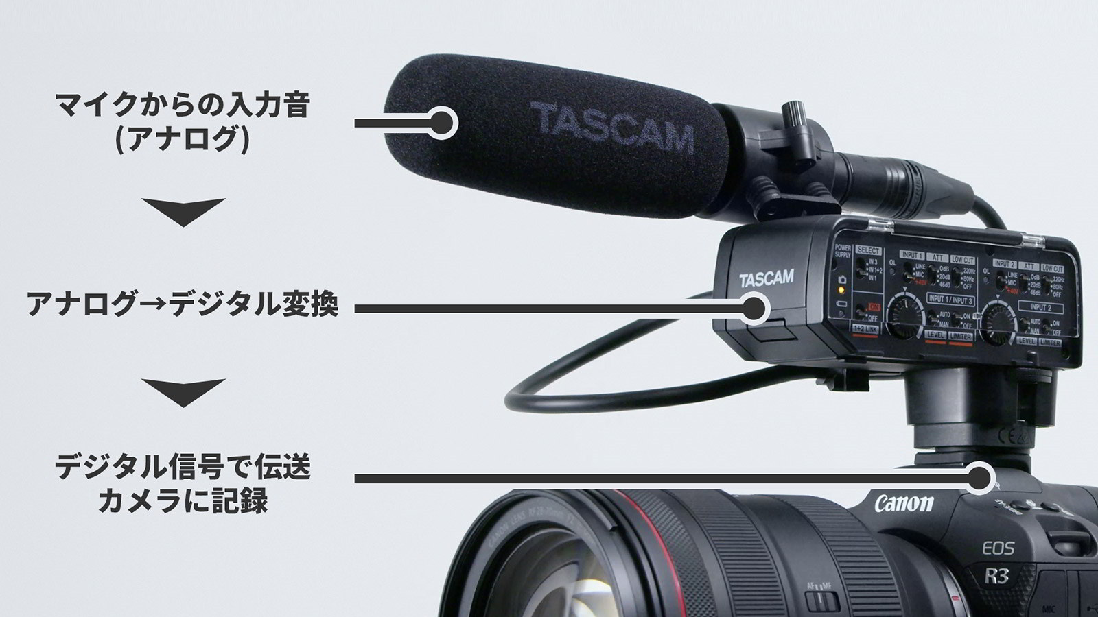 CA-XLR2d-F FUJIFILM Kit追加画像 CA-XLR2d-F FUJIFILM Kit追加画像