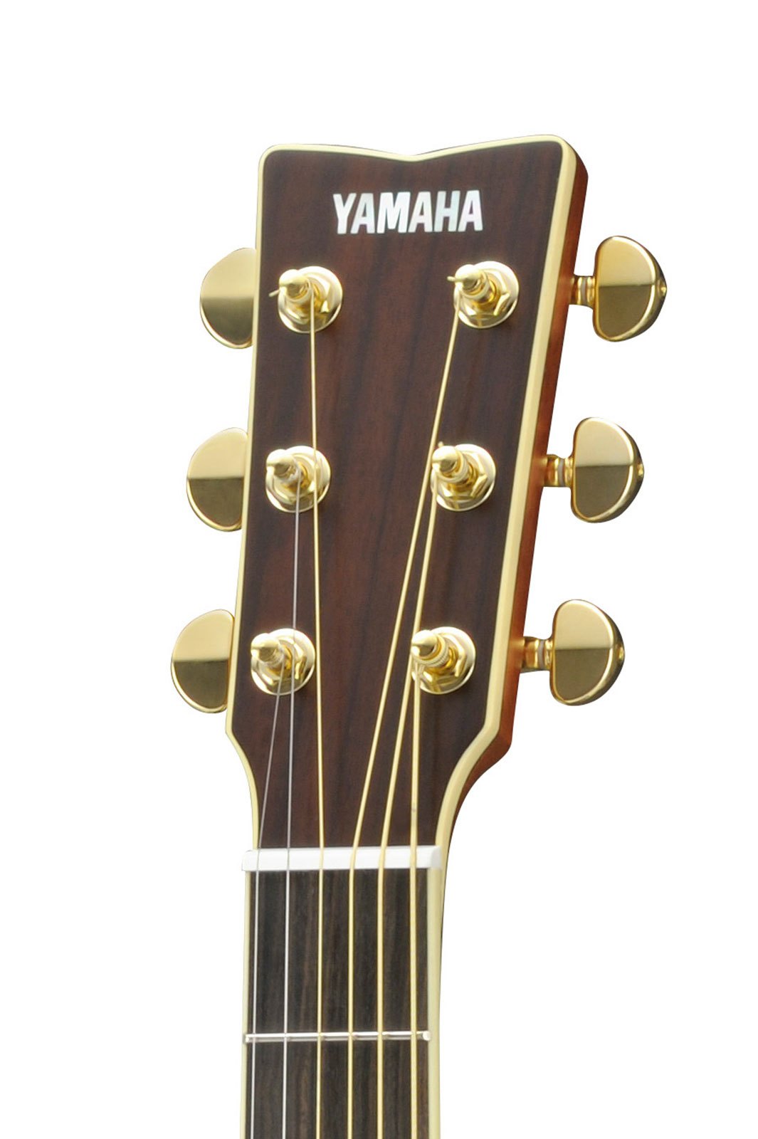 LL16L NT ARE Leftyヘッド画像 LL16L NT ARE Leftyヘッド画像