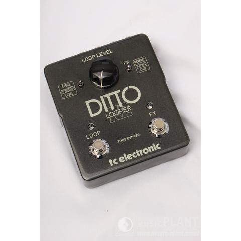 DITTO X2 LOOPERサムネイル
