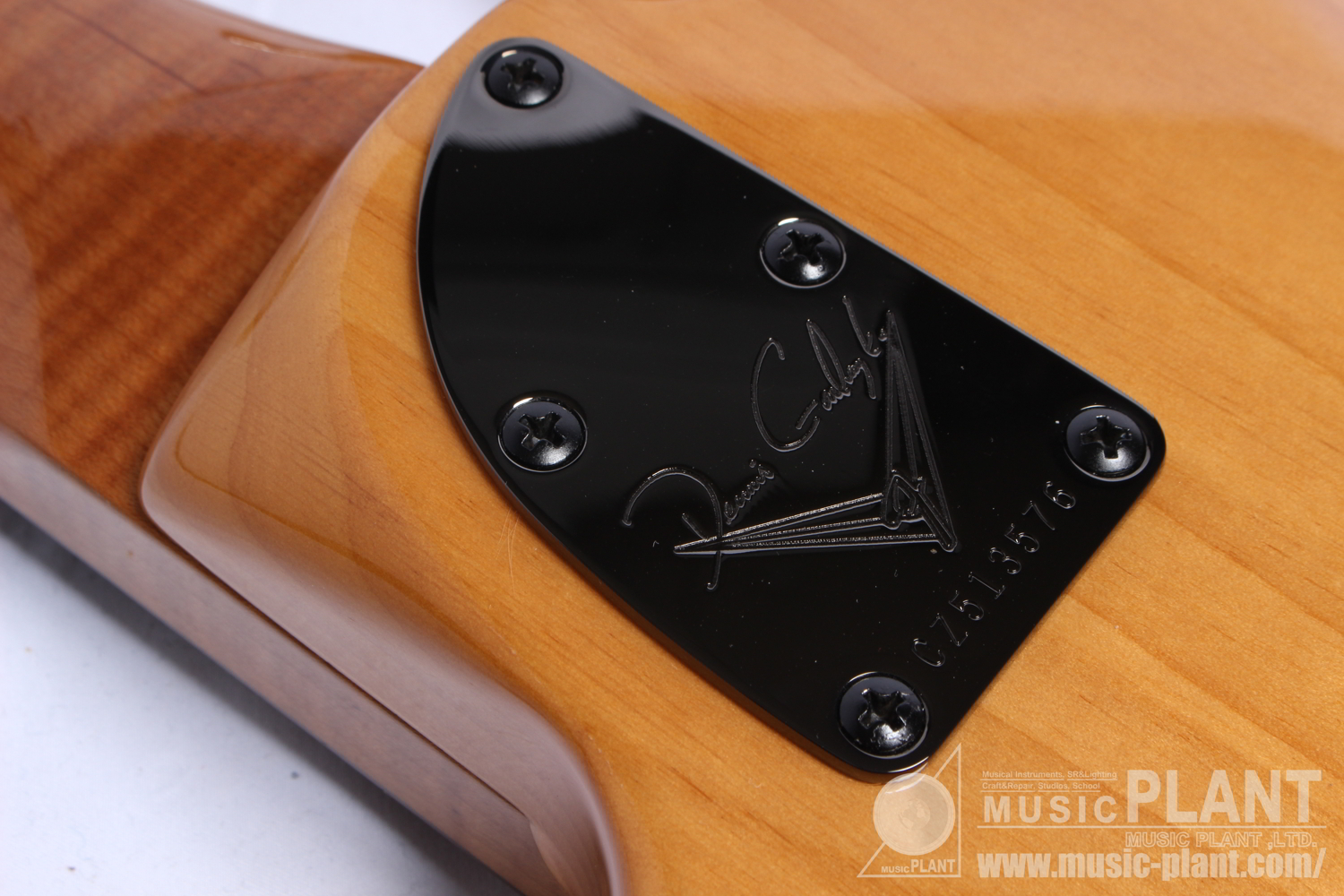 Master Built Artisan Custom Classic Jazz Bass V by Dennis Galuszka追加画像