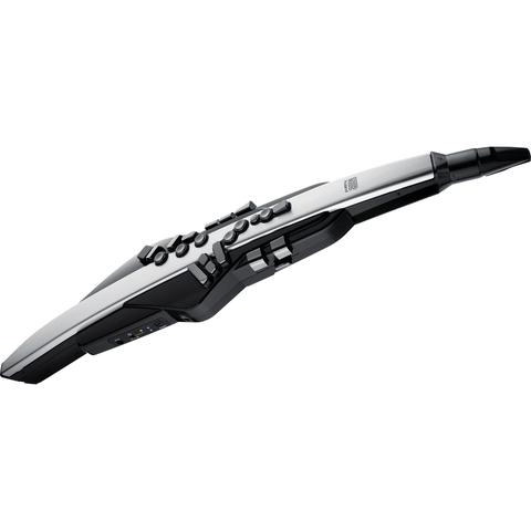 Roland

AE-30 Aerophone Pro