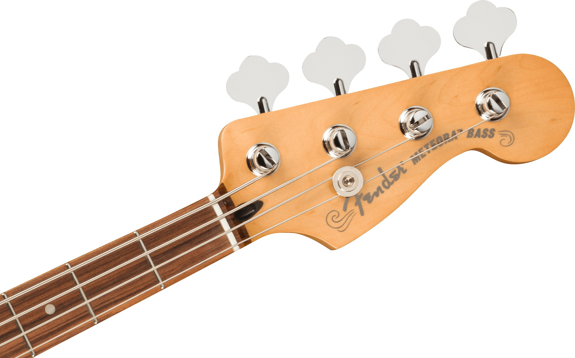 Player Plus Active Meteora Bass®, Pau Ferro Fingerboard, Tequila Sunriseヘッド画像 Player Plus Active Meteora Bass®, Pau Ferro Fingerboard, Tequila Sunriseヘッド画像