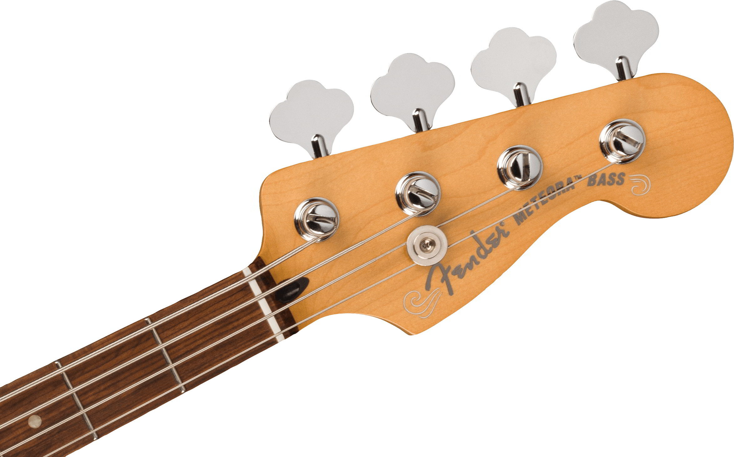 Player Plus Active Meteora Bass®, Pau Ferro Fingerboard, Opal Sparkヘッド画像 Player Plus Active Meteora Bass®, Pau Ferro Fingerboard, Opal Sparkヘッド画像