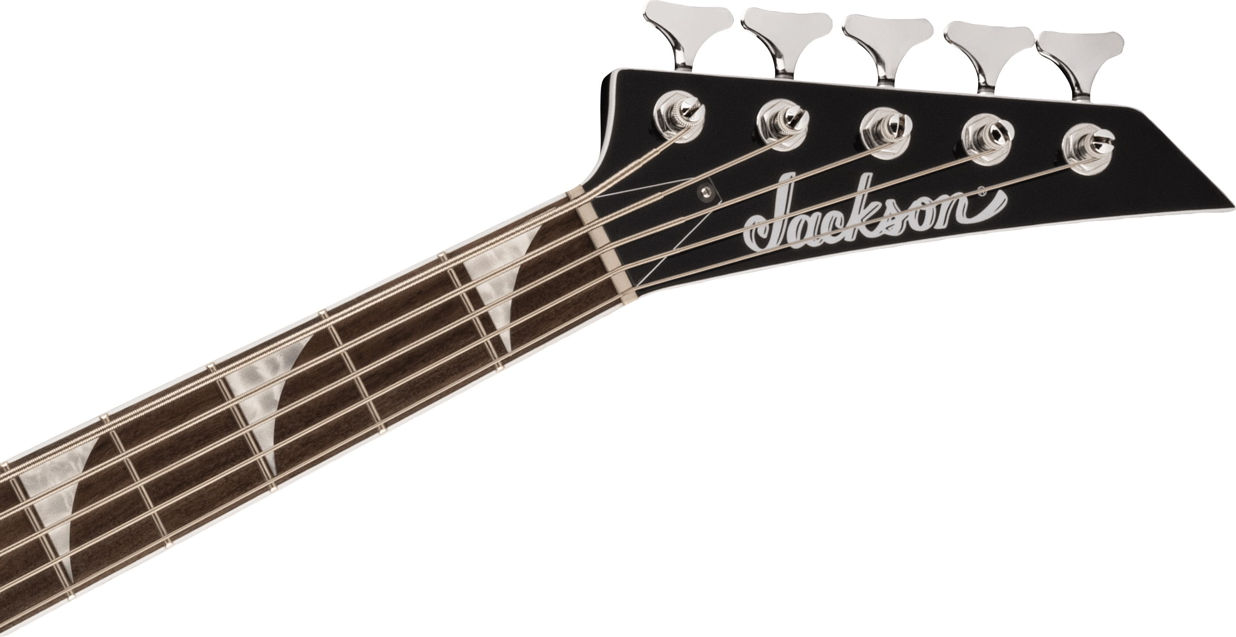 X Series Concert Bass™ CBXNT DX V, Laurel Fingerboard, Gloss Black追加画像 X Series Concert Bass™ CBXNT DX V, Laurel Fingerboard, Gloss Black追加画像