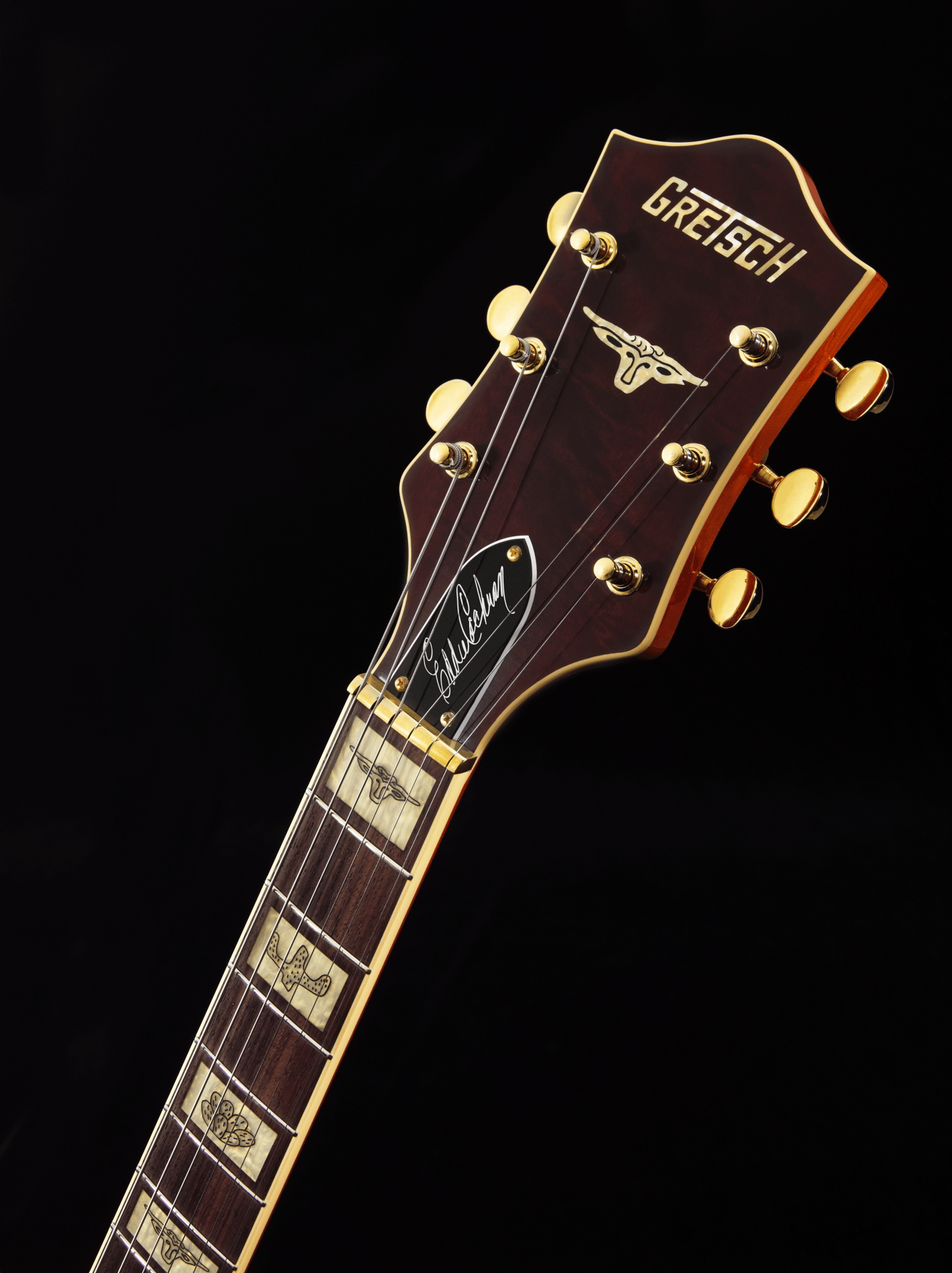 G6120 Eddie Cochran Signature Hollow Body with Bigsby®, Rosewood Fingerboard, Western Maple Stain追加画像 G6120 Eddie Cochran Signature Hollow Body with Bigsby®, Rosewood Fingerboard, Western Maple Stain追加画像