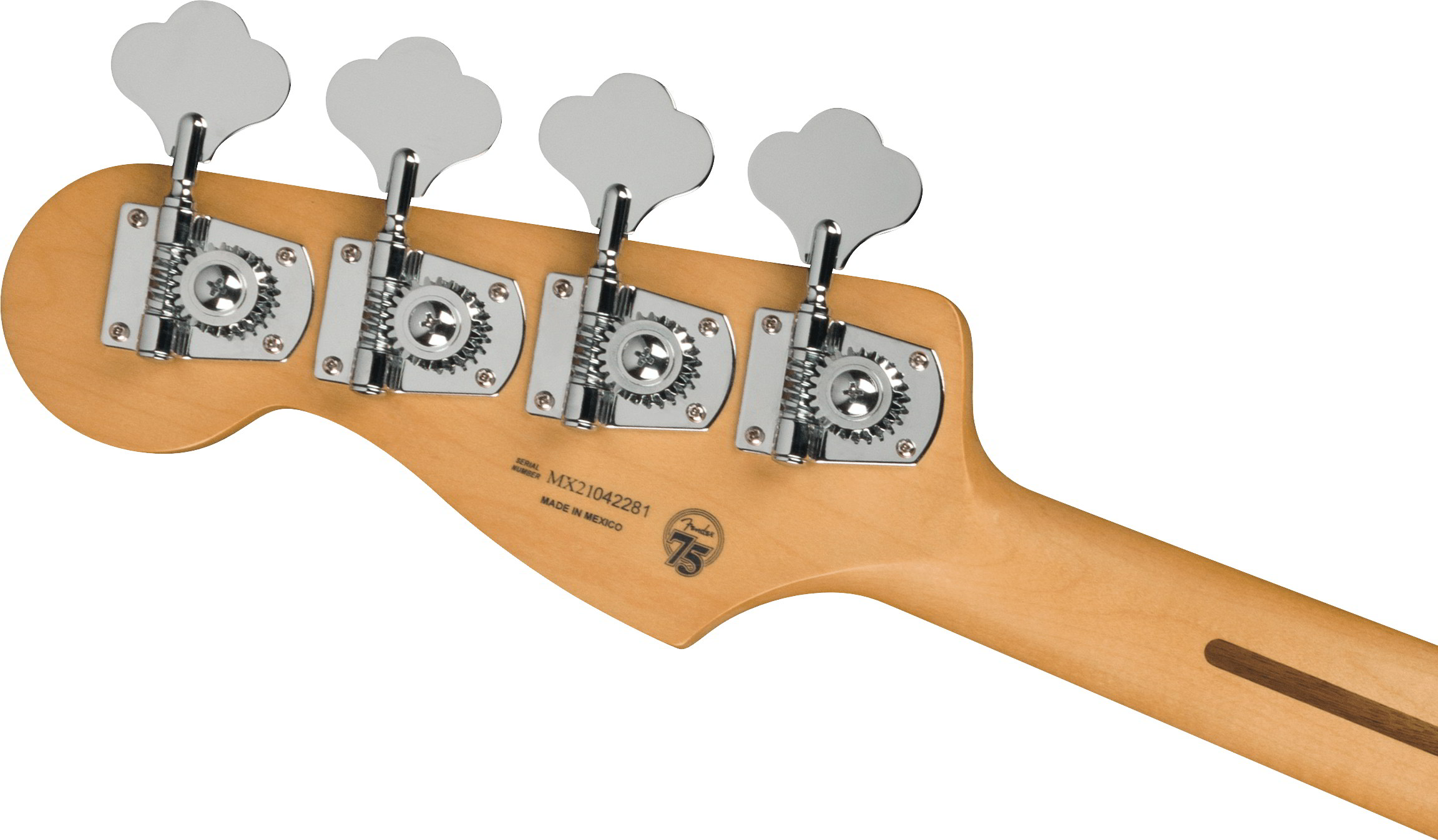Player Plus Active Meteora Bass®, Maple Fingerboard, Silverburst追加画像 Player Plus Active Meteora Bass®, Maple Fingerboard, Silverburst追加画像