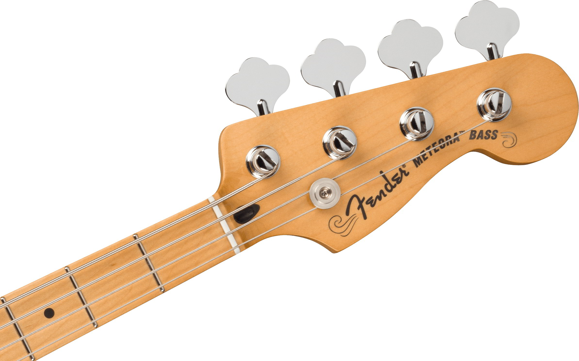 Player Plus Active Meteora Bass®, Maple Fingerboard, Silverburstヘッド画像 Player Plus Active Meteora Bass®, Maple Fingerboard, Silverburstヘッド画像