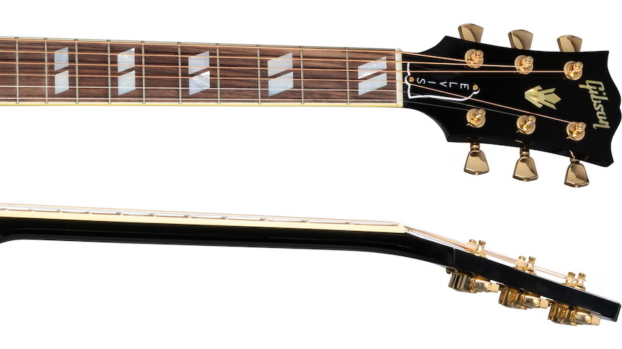 Elvis Doveヘッド画像 Elvis Doveヘッド画像