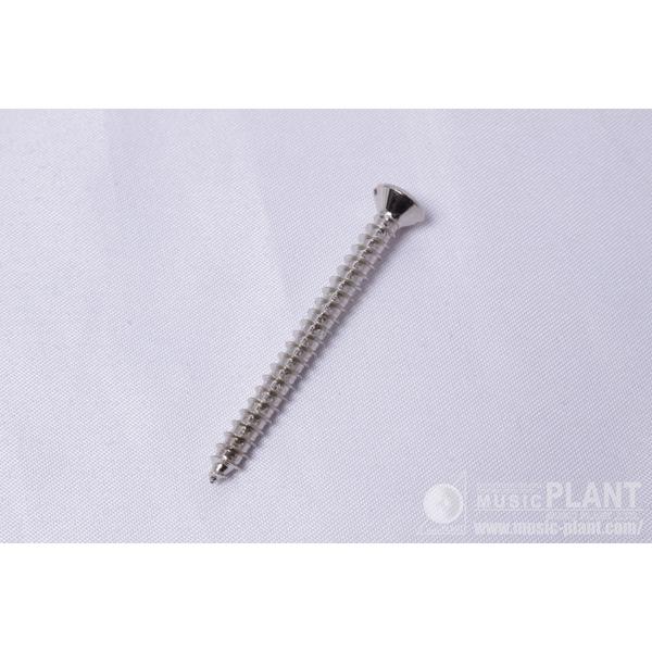 【1個バラ売り】Pure Vintage Slotted Telecaster Neck Mounting Screws, Nickelサムネイル