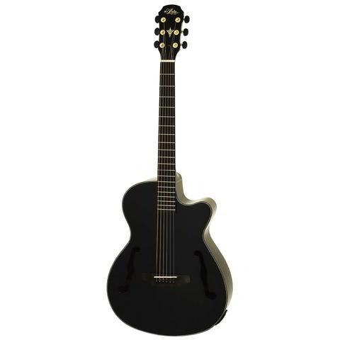 Aria-エレクトリックアコースティックギター
FET-F2/BnG BK