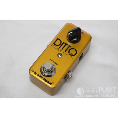 TC Electronic Dittoシリーズ ルーパーDITTO LOOPER Gold Limited中古 ...