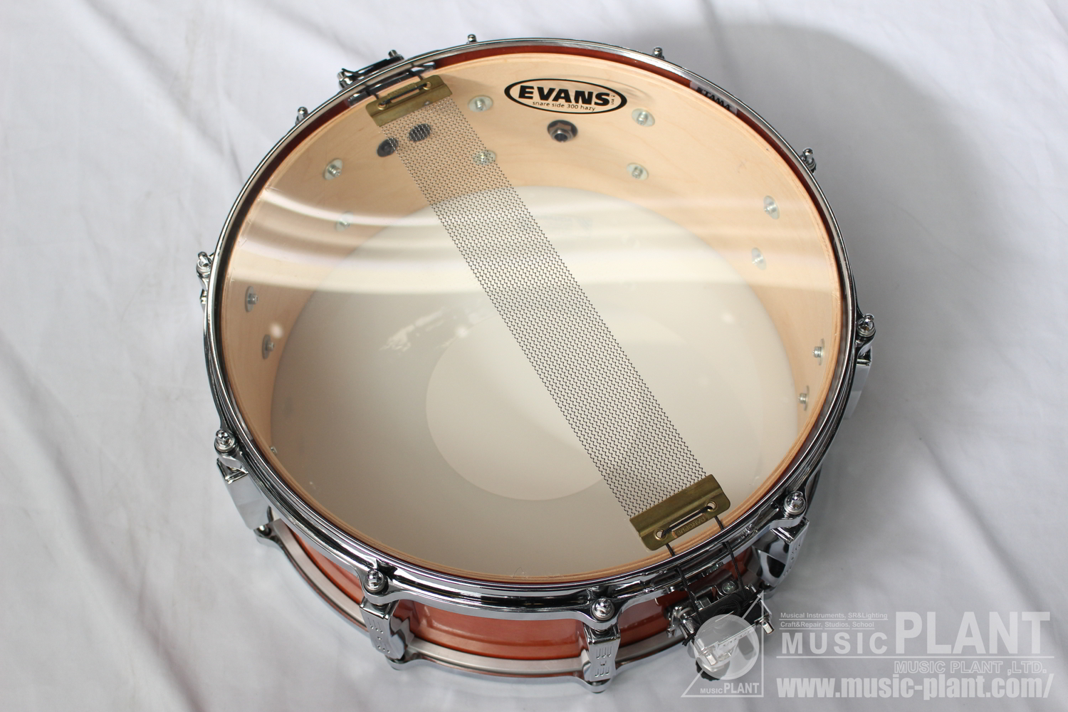 ORDER SNARE 14×5.5追加画像 ORDER SNARE 14×5.5追加画像