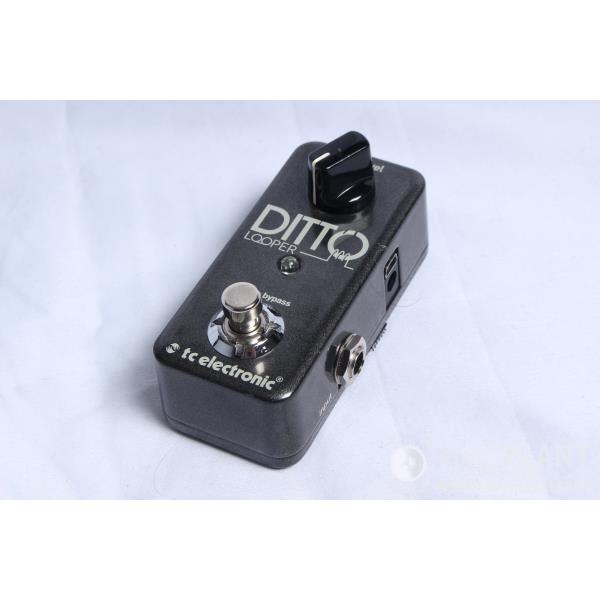 TC Electronic

DITTO LOOPER