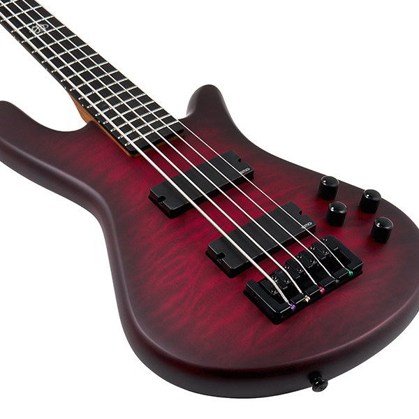 NS PULSE II 5 Black Cherry Matte追加画像 NS PULSE II 5 Black Cherry Matte追加画像