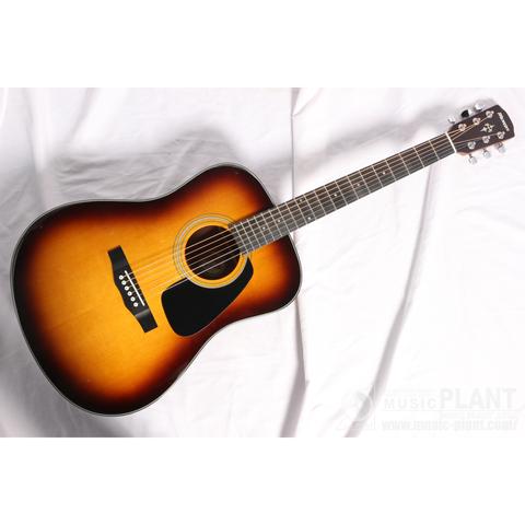 Morris-アコースティックギターM-020 TS