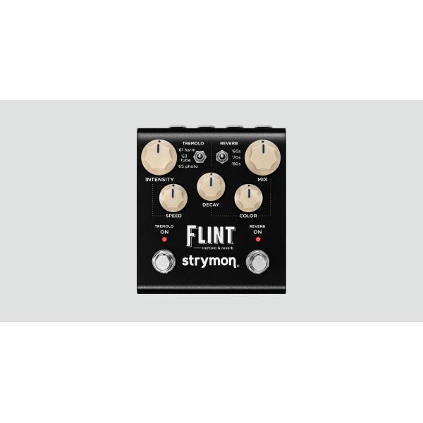 STRYMON-リバーブ&トレモロ
FLINT V2