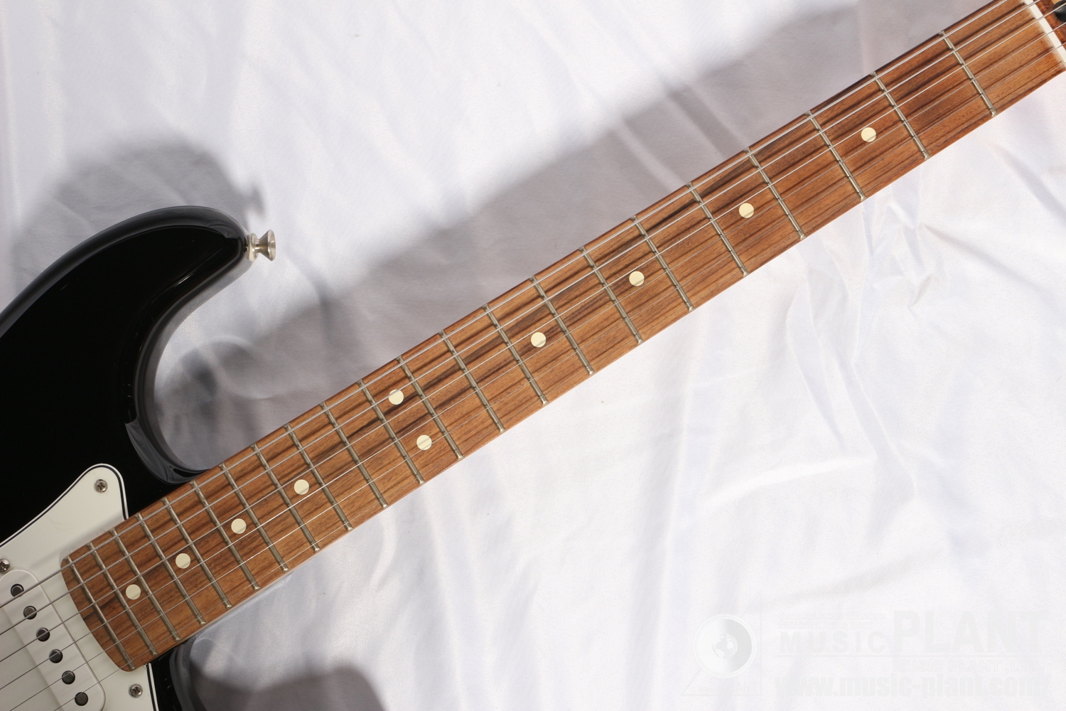 Player Stratocaster Black (Pau Ferro Fingerboard)追加画像