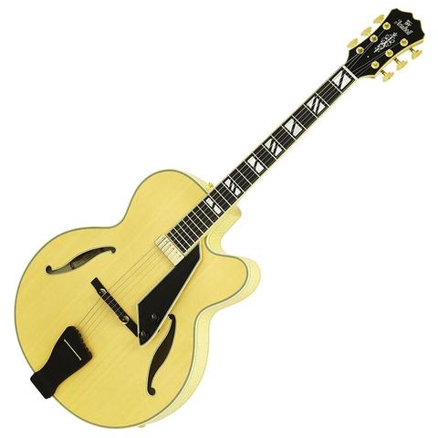 ARIA PRO II-フルアコースティックギター
FA-2100 N