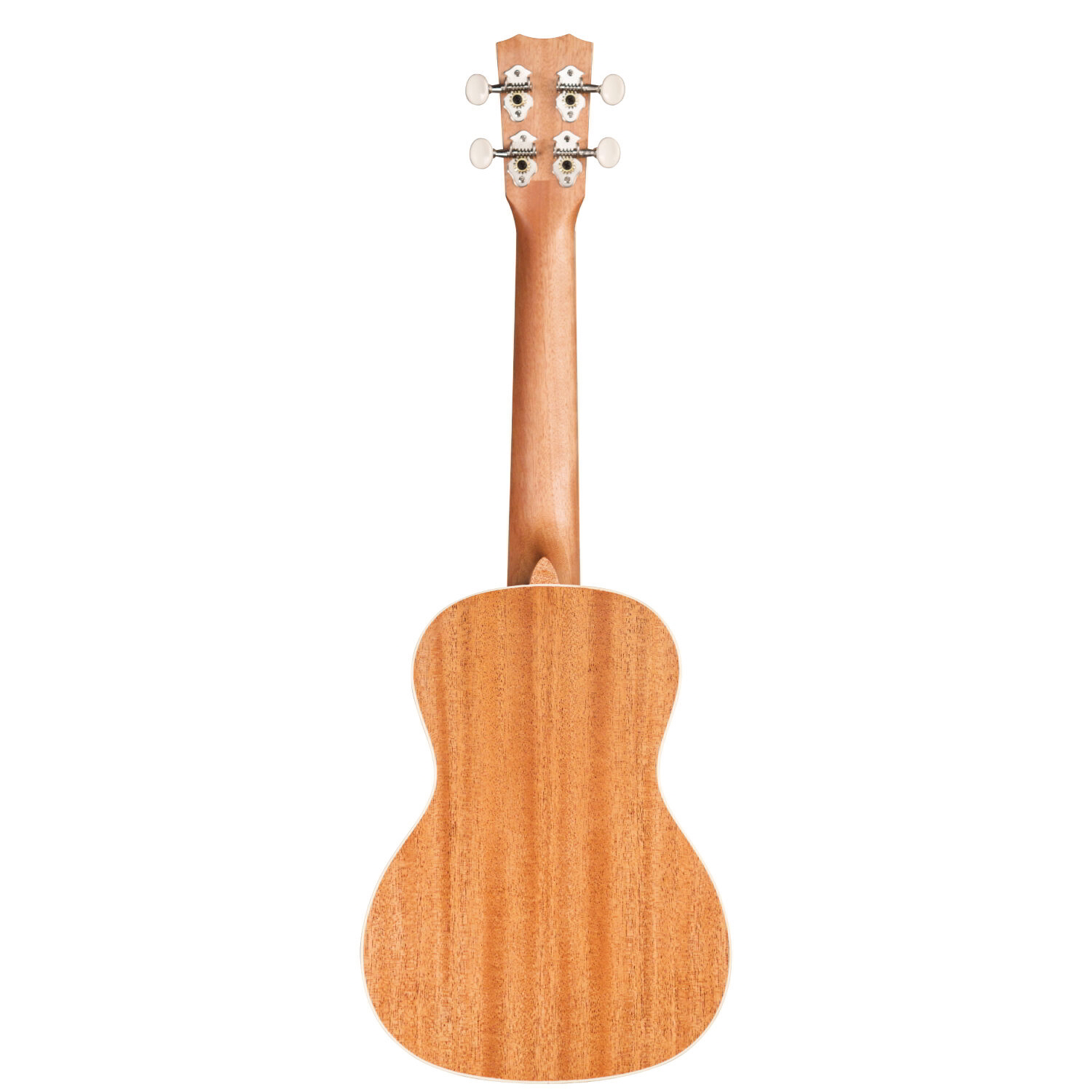 15CM Matiz Mango背面画像 15CM Matiz Mango背面画像