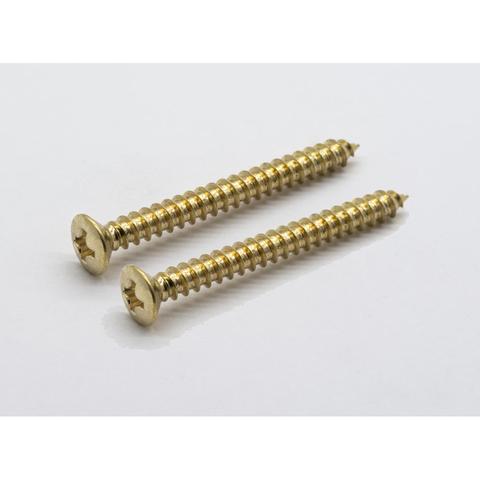 ESP

エンドピンビス 3.5x35 SET (2) Gold
