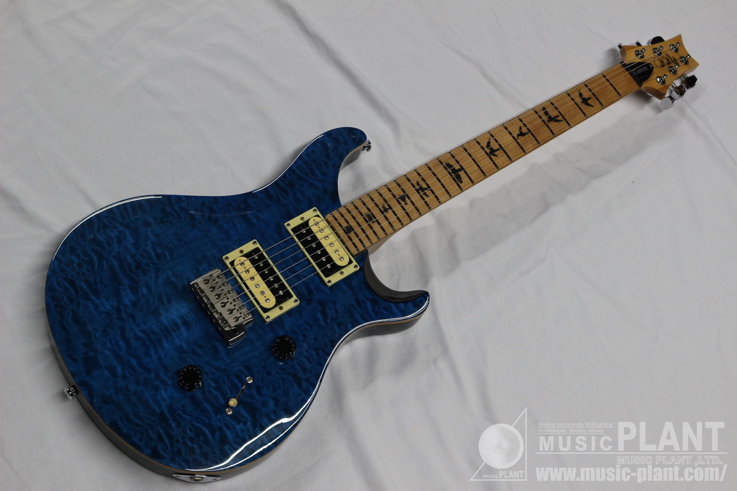 Paul Reed Smith (PRS) SEシリーズ エレキギターSE Custom 24 Roasted