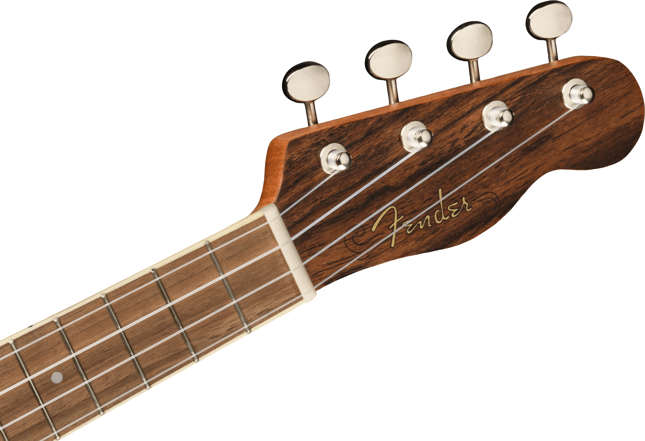 Zuma Exotic Concert Ukulele, Walnut Fingerboard, Bocote追加画像 Zuma Exotic Concert Ukulele, Walnut Fingerboard, Bocote追加画像