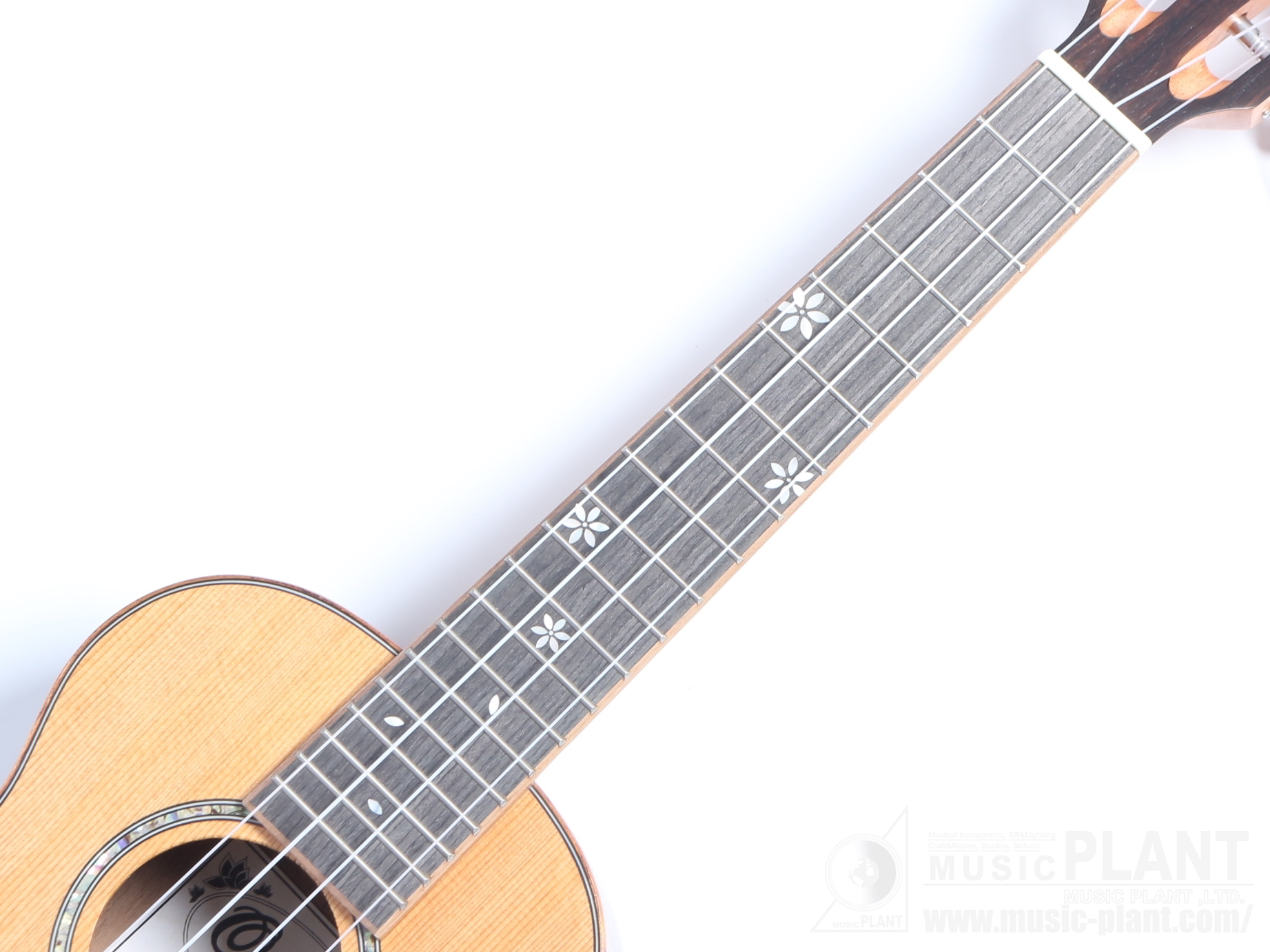 CK-50ME追加画像 CK-50ME追加画像