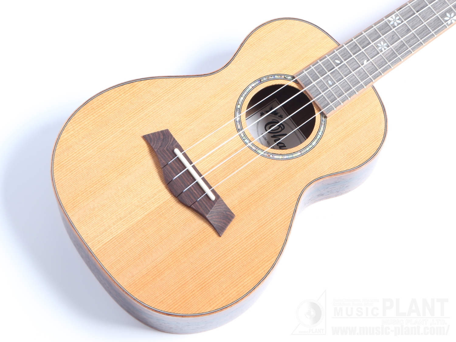 CK-50ME追加画像 CK-50ME追加画像