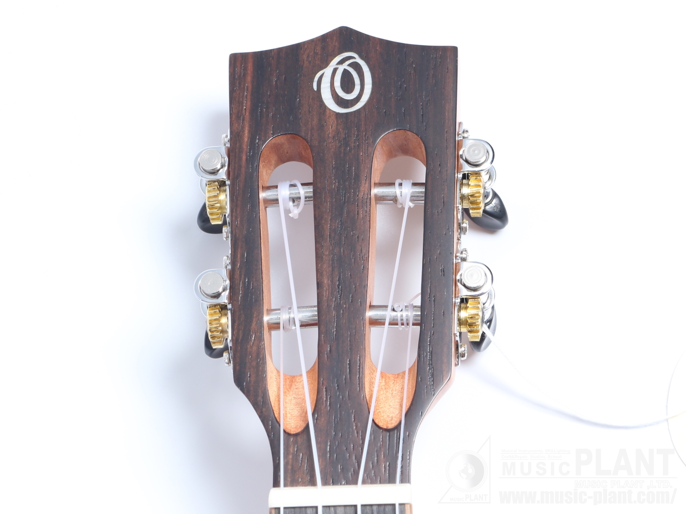 CK-50MEヘッド画像 CK-50MEヘッド画像
